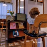 ☕吾悦周边‖这家咖啡店能让人内心瞬间柔软哎