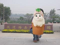 -铁道游击队纪念园