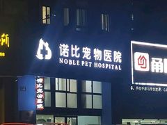 -诺比宠物医院心脏内科·泌尿肾内外科·骨科急重症