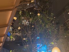 -桂满陇·海市蜃楼·黑金(国金店)