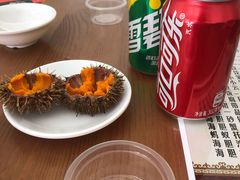 活海胆-海胆小馆(春柳店)