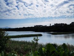 -华侨城湿地公园