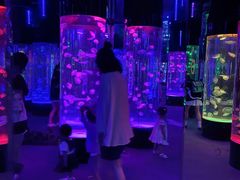 -成都浩海立方海洋公园