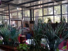 -闻道食府烙饼卷带鱼(原车耳营店原大觉寺店)