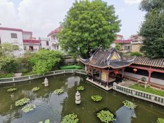 -碧江金楼