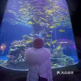 长这么大第一次来东湖海洋世界，嘻嘻嘻