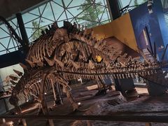 -湖南省地质博物馆