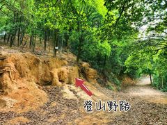 -广州市帽峰山景区