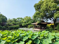 -绍兴鲁迅故里·沈园景区