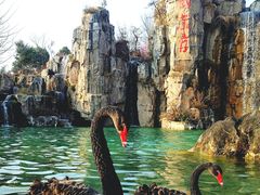 -秀丽东方