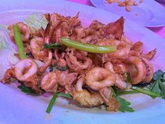 -旗鱼海番村(Orang Asli)