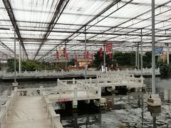 -九天休闲谷