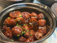 光猪尾巴煲-阿龙酒煲(海宁新苑路店)