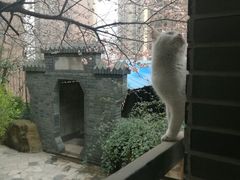-竹吟山房