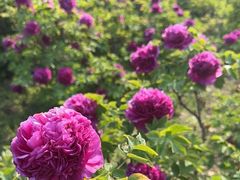 -河南省黄河迎宾馆