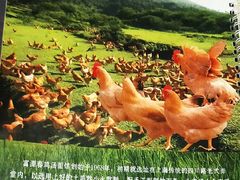 -富源春面馆(四川北路店)