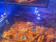 -驻海渔市(置信店)