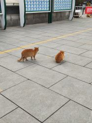 -西安市儿童医院(西门院区)