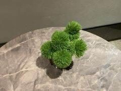 -漫·汤泉