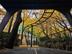 -中山公园