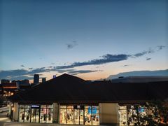 -城南老友羊蝎子火锅(花乡奥莱店)