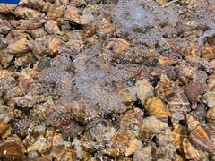 -三亚火车头万人海鲜广场