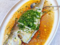 清蒸大黄鱼-金粤九号(李公堤店)