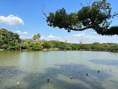-江心屿景区