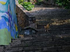 -东沙渔村