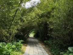 -开平碉楼文化旅游区马降龙景区