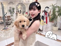 -共舞时光猫咖·狗咖(新街口店)