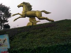 -成都泰迪熊博物馆