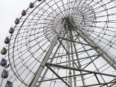 -洋湖国家湿地公园
