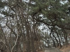 -浮山香苑