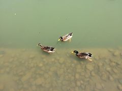 -宗角禄康公园