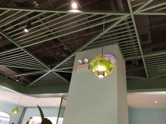 -春润大地海南椰子鸡(沙井京基百纳广场店)