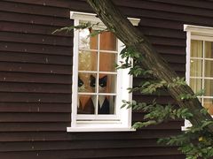 -三鹰之森吉卜力美术馆