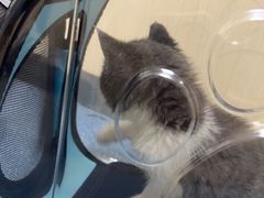 -宠颐生宠物医院外科·内科·皮肤科·影像科(石龙店)