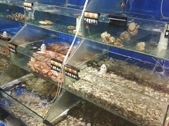 -雅逸居海鲜小厨