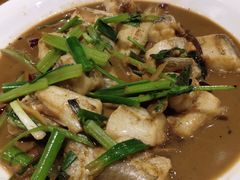 红烧九肚鱼-吉香碳烤生蚝(仙霞路店)