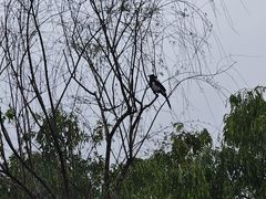 -江南大学(蠡湖校区)