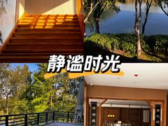 -长广溪湿地公园