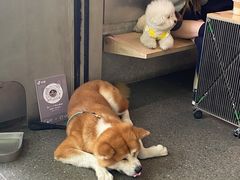 -安福路
