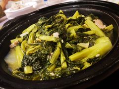 -金燕岛潮州酒楼