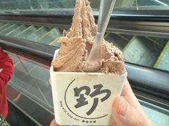 -野人先生现做冰淇淋(北京顺义祥云小镇店)