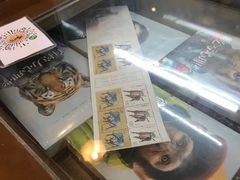 -元氏钵仔糕(北京路店)