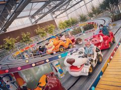 -南宫五洲植物乐园