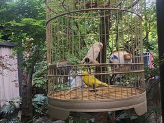 -哈哈曲艺社(西门闲亭店)