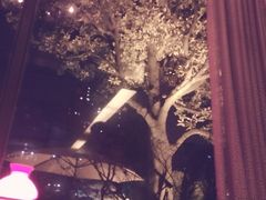 iphone_upload_pic-大可堂普洱茶馆(襄阳南路馆)