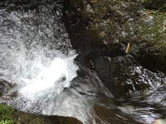 -藏龙百瀑漂流
